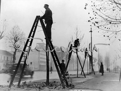 Potatura degli alberi. Milano, 1949